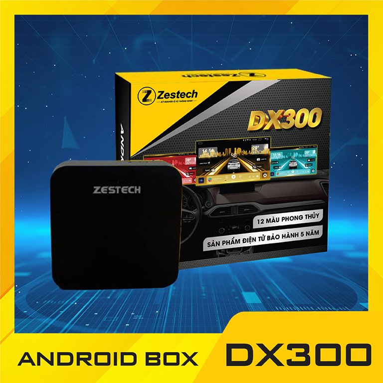 DX300